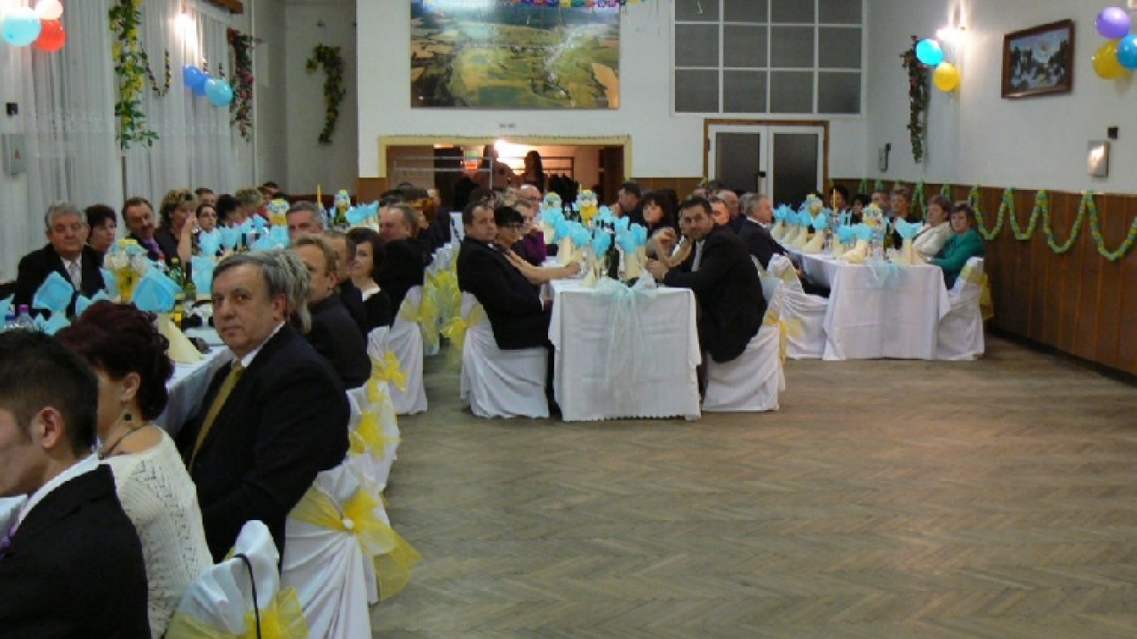 Ples 2013  Ples 2013